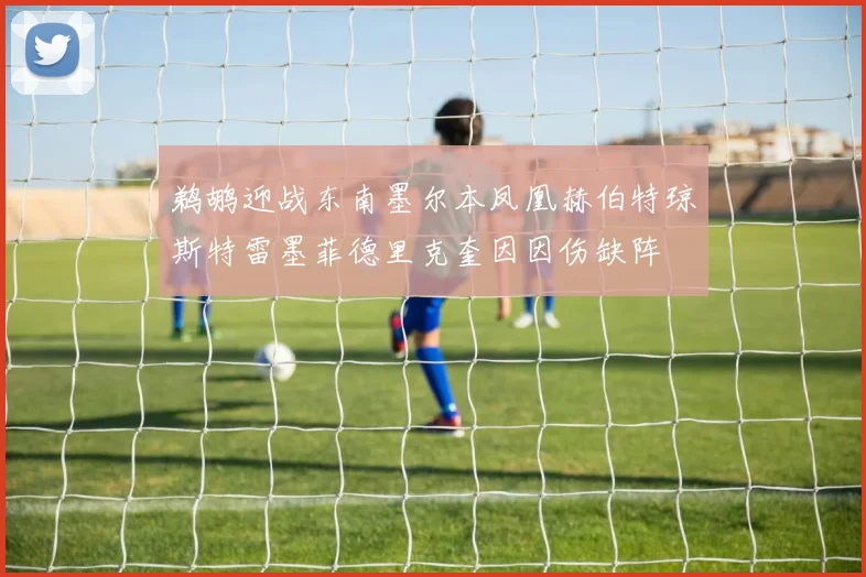 鹈鹕迎战东南墨尔本凤凰赫伯特琼斯特雷墨菲德里克奎因因伤缺阵