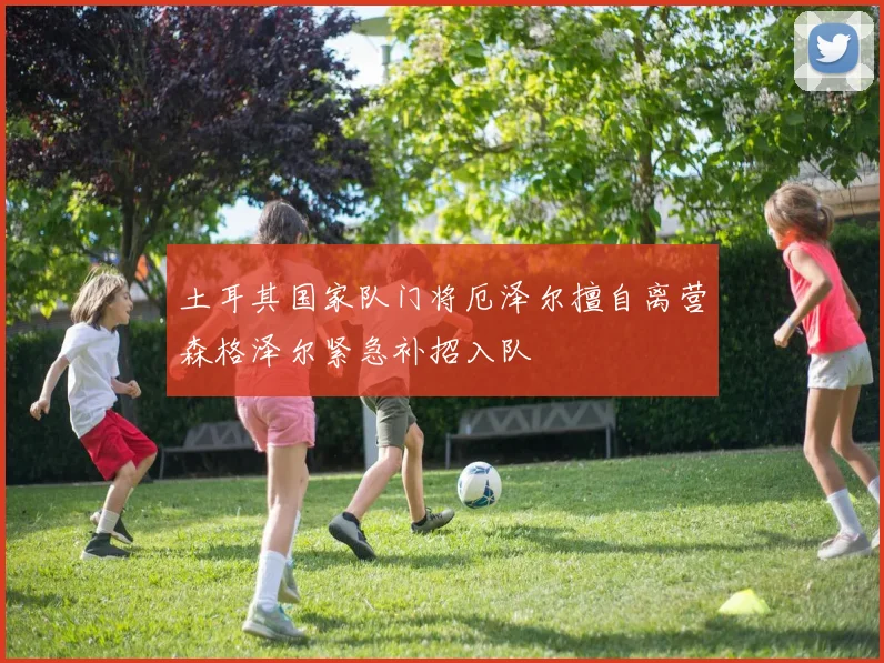 土耳其国家队门将厄泽尔擅自离营森格泽尔紧急补招入队