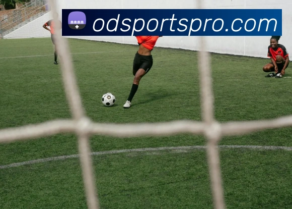 OD体育平台生态图